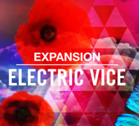 Native Instruments Maschine Expansion: Electric Vice